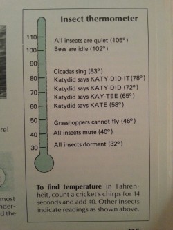 themerrymagician:  getreadystartnow:  neat piece of information I found in a book about traditional skills  It’s almost like the earth is interrogating the poor Katydid, turning up the heat until it spills the beans on itself. 