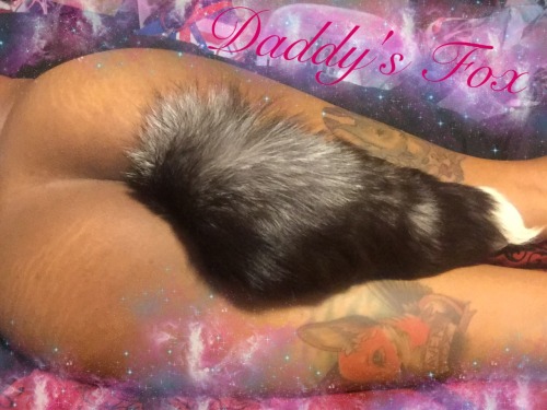 a-fox-named-foxy:  Some pics I took for Daddy. 