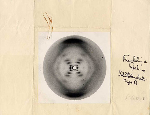 lapitiedangereuse: ROSALIND FRANKLIN DNA XRAY But when Rosalind Franklin took an x-ray dif