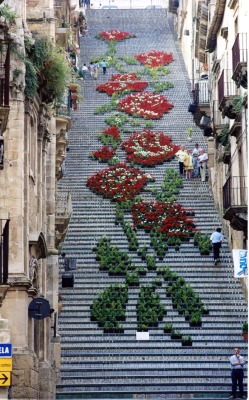 ishouldcocoa:  http://twistedsifter.com/2013/09/giant-staircase-art-made-from-potted-plants/
