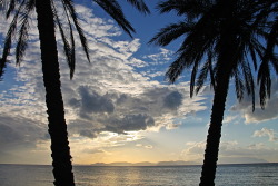 nuretmen:  Palm Trees & Clouds Kusadasi,
