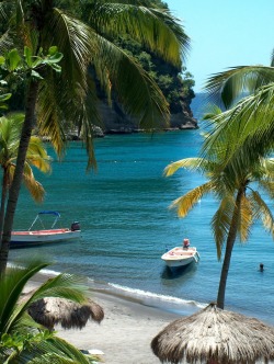 tropichalys:  Saint Lucia, Caribbean  