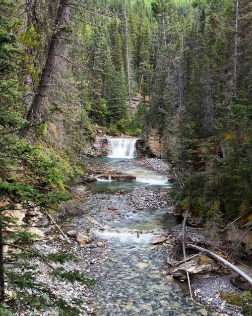 When nature is calling you ...#mountains #hike #trees #rocks #falls #water #cascade #current #nature