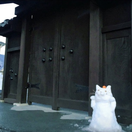 carudamon119:佐々木あみこ‏ @amico_aria猫好きが雪だるまを作るとこうなる#雪だるま選手権