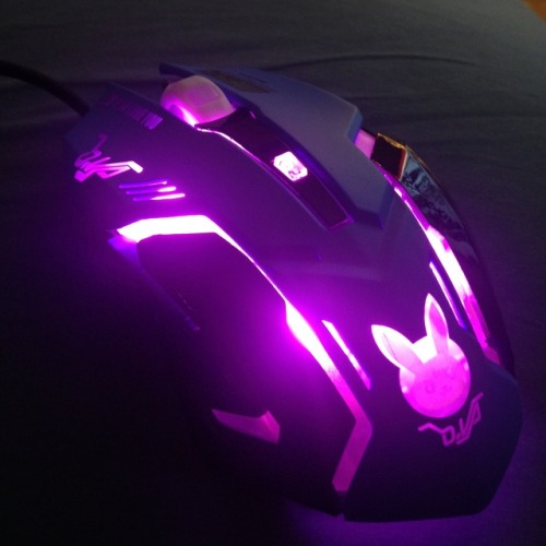 youngllady:phyla-vell:look how amazing my new mouse is!op posted where they got it !!!