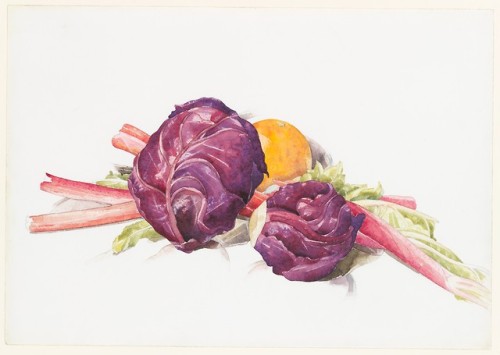 met-modern-art:Red Cabbages, Rhubarb and Orange by Charles Demuth, Modern and Contemporary ArtMedium