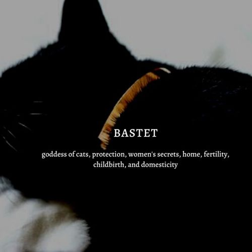 diioonysus:egyptian mythology | modern gods & goddesses | bastet→ Bastet was the goddess of cats