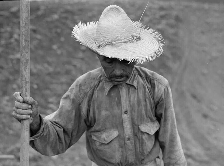 #jibaro on Tumblr