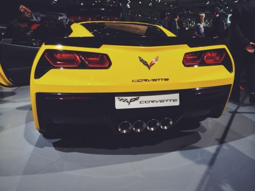 Porn Pics treunenthibault:  Z06 C07