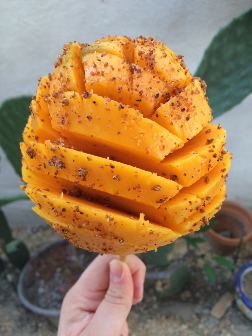 mari-182:como la flor de mango y trajín✨