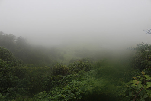 Dukes Nose Trek by ravi.shankar2822 on Flickr.