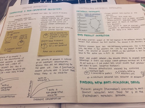 pastel-study:  newtostudying:  27 Jan 2016 Been writing a lot of notes in the past few hours. I real