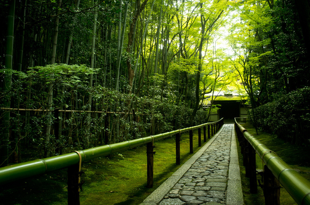papalagiblog:  Temples in Kyoto. Images by Flickr user Marservia http://landscapefocused.tumblr.com