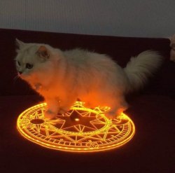 luna-prime:  shurtbalswasherefirst:  blahhaus:  Summoned        I swear I thought this was the Clow sigil from CCS.