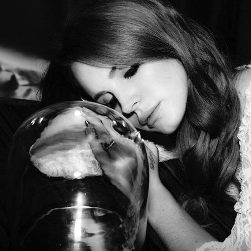 Porn photo  Lana Del Rey by Markus Jans for Zeit Magazine