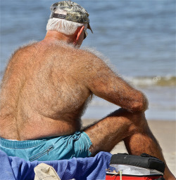 Bears, daddy, handsome older man, mature