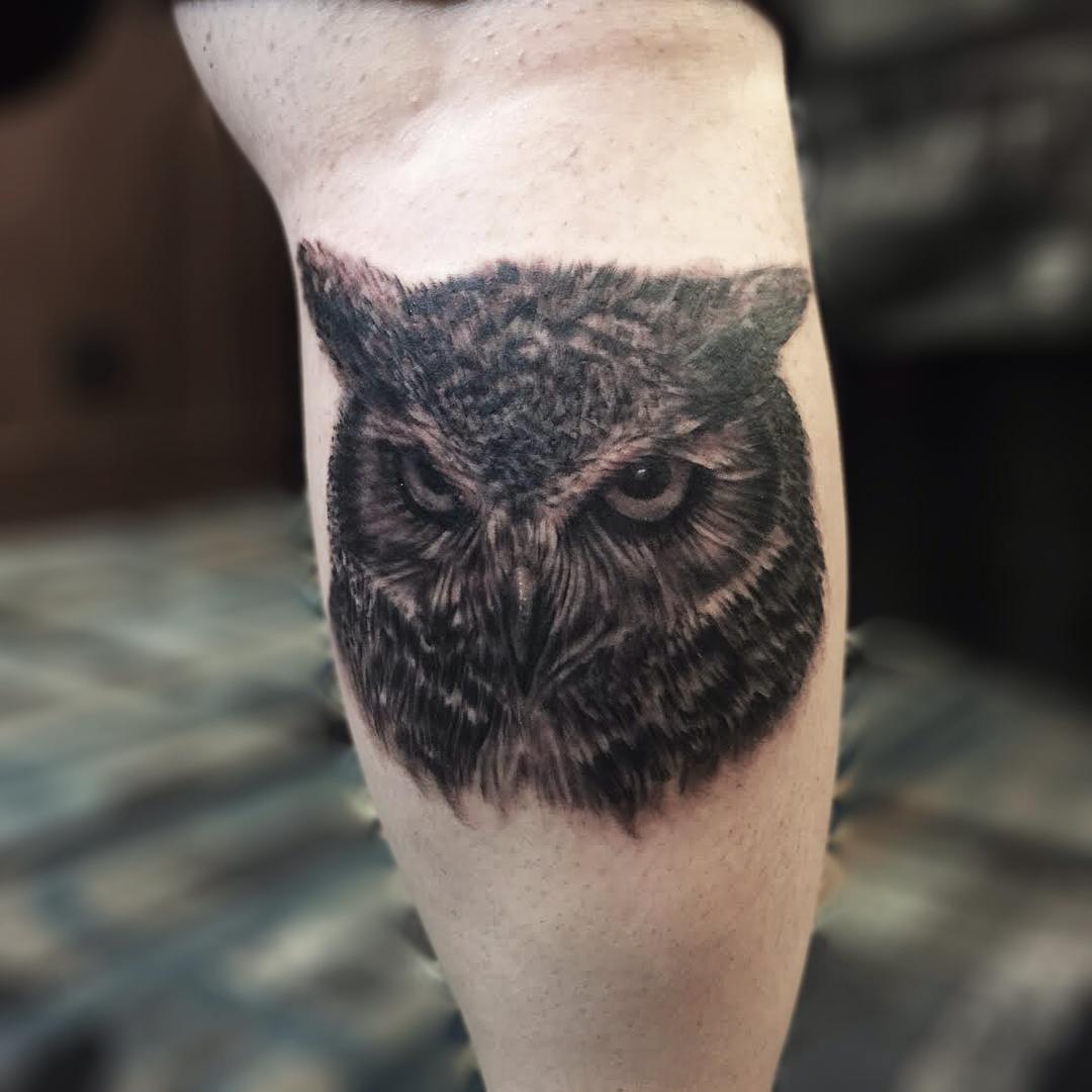 owl tattoo owl sketch toronto tattoo owl art great horned owl color owl  black and grey owl tattoo  Owl tattoo design Owl eye tattoo Realistic owl  tattoo