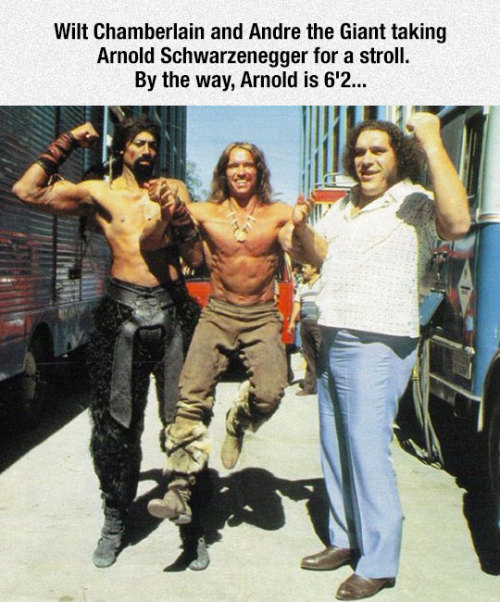 srsfunny:  Arnold Looks So Tinyhttp://srsfunny.tumblr.com/