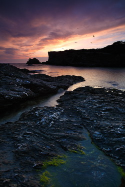 sundxwn:  fishing time by emmanuel verzura