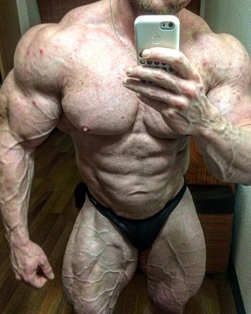 freakmuscle:(via MuscleBullxx29 - Photo 92096 - MyMusclevideo.com)