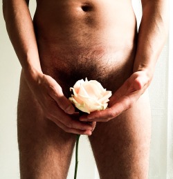 nakedwithflowers:   From Holland, with love.