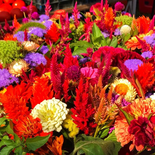 Summer Flowers, Fairfax City Farmers Market, 2018.