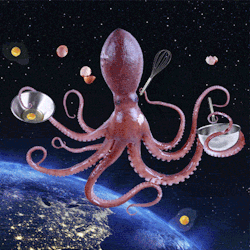 dennys:  Sometimes when we’re really backed up we employ the help of the Space Eggtopus. She’s a whisking wiz.