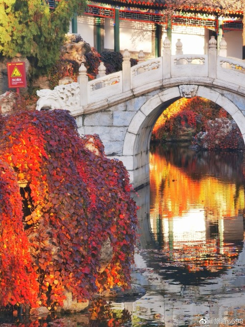 fuckyeahchinesegarden:静心斋jingxinzhai, beihai park, beijing by 旅游6698