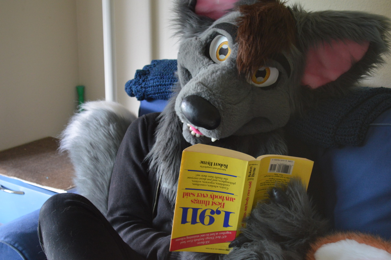aceofheartsfox:Feeling stressed for the new school semester? :3 Take the time to