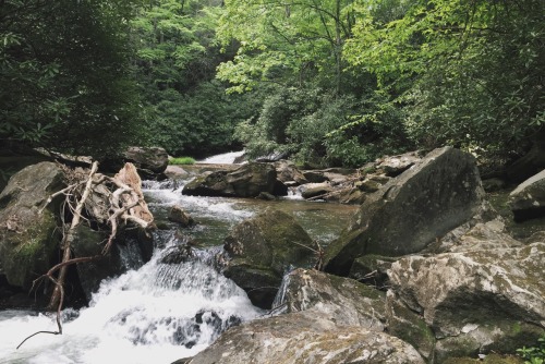 Mt. Pisgah stream. North Carolina