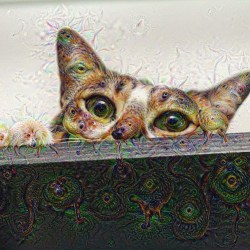 valinored:  #deepdream - in which my cat’s paw’s a dog and there’s a dinosaur embedded in the shelf. 