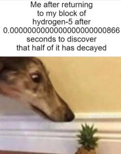 daughter-of-sapph0:I love these memes. poor little borzoi doesn&rsquo;t understand