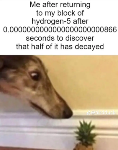 daughter-of-sapph0:I love these memes. poor little borzoi doesn&rsquo;t understand