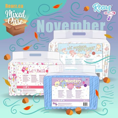 Rearz November Monthly Mixed Case Now Available! https://rearz.ca/rearz-monthly-adult-diaper-mixed-c