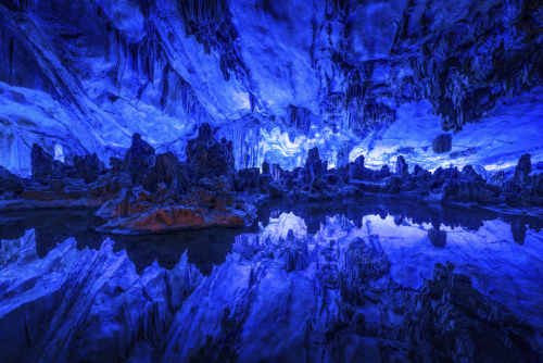 oecologia:Reed Flute Cave • Guangxi, ChinaThe Reed Flute Cave in Guangxi, China, is a natural limest