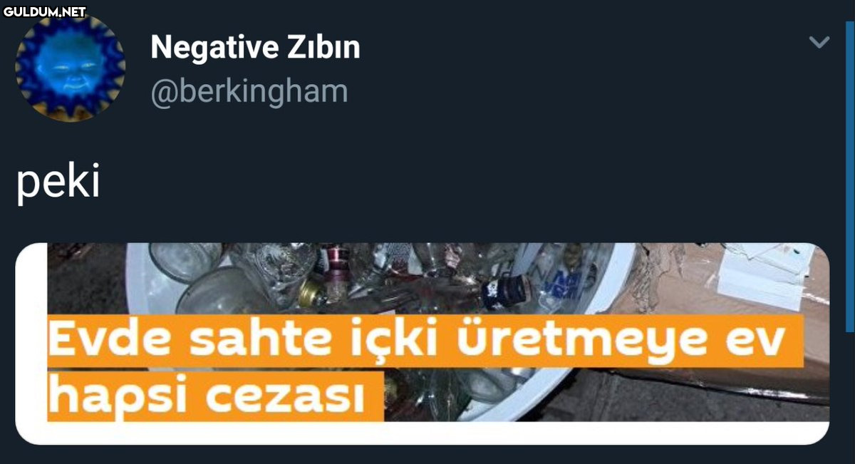 Negative Zıbın @berkingham...