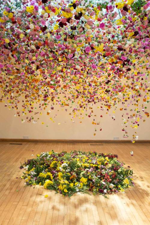 Porn photo itscolossal:  Suspended Floral Installations