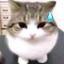 toxicyaoiispeak