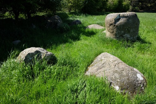 ‘Little Meg’ Kerb or Round Cairn, Cumbria, 2.6.16. Great hidden site with some fantastic