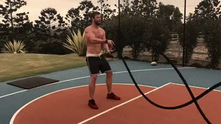 x-fits-y:  That man manages to put him on a harness and made him walk like a dog…