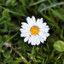 matndo-blog