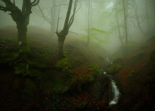 darkface:
“ “atmosphere” (by josu rollan)
”