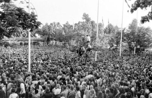 The Story Of Marley At The Grona Lund, 1980: Thirty-two thousand people were forced into trees, amon