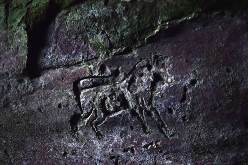 Wemyss Caves, FifeWe recently visited a set of caves along the coast of Fife, located near the villa