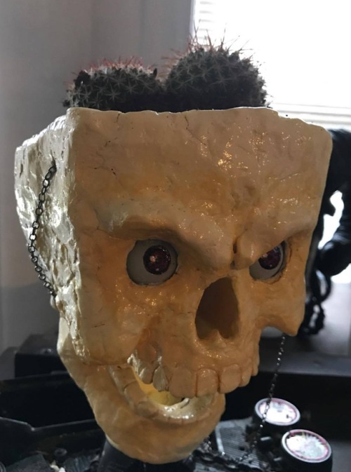 Made my girlfriend a skull planter with a moveable jaw.  As a full time potter, I can confirm t