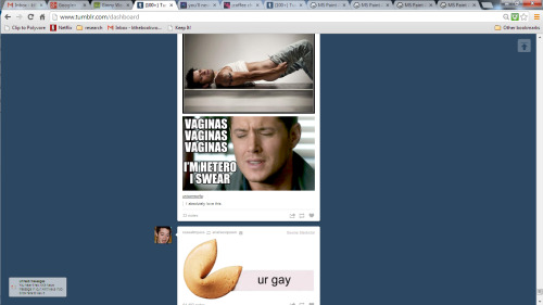 Sex sassy-satan:  dragonflyspy:  My dash did pictures