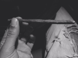 ohyeselifresh:  Blunt = stress reliever