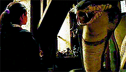 lordharrypotter:  “Boggarts are shape-shifters. They take shape of whatever a person