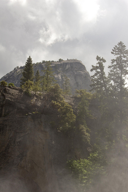 natureac:  This blog will make you feel at peace