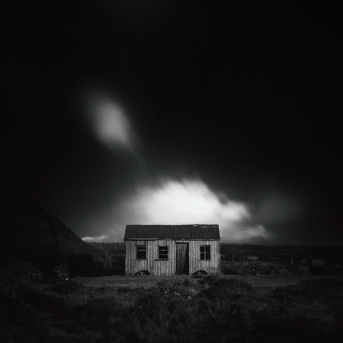 Andy Lee